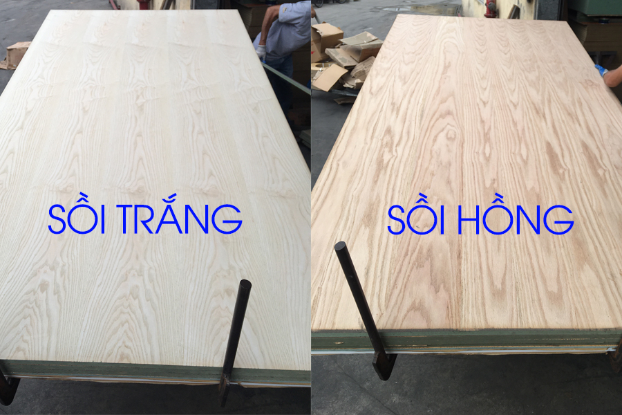 Ván MDF phủ veneer sồi trắng và sồi hồng