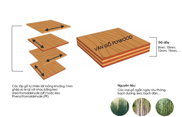 Hình ảnh cấu tạo gỗ dán Plywood