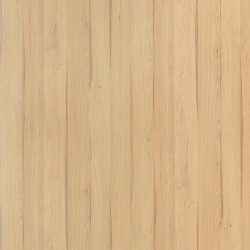 Laminate Perform 1153 - Conform Oak