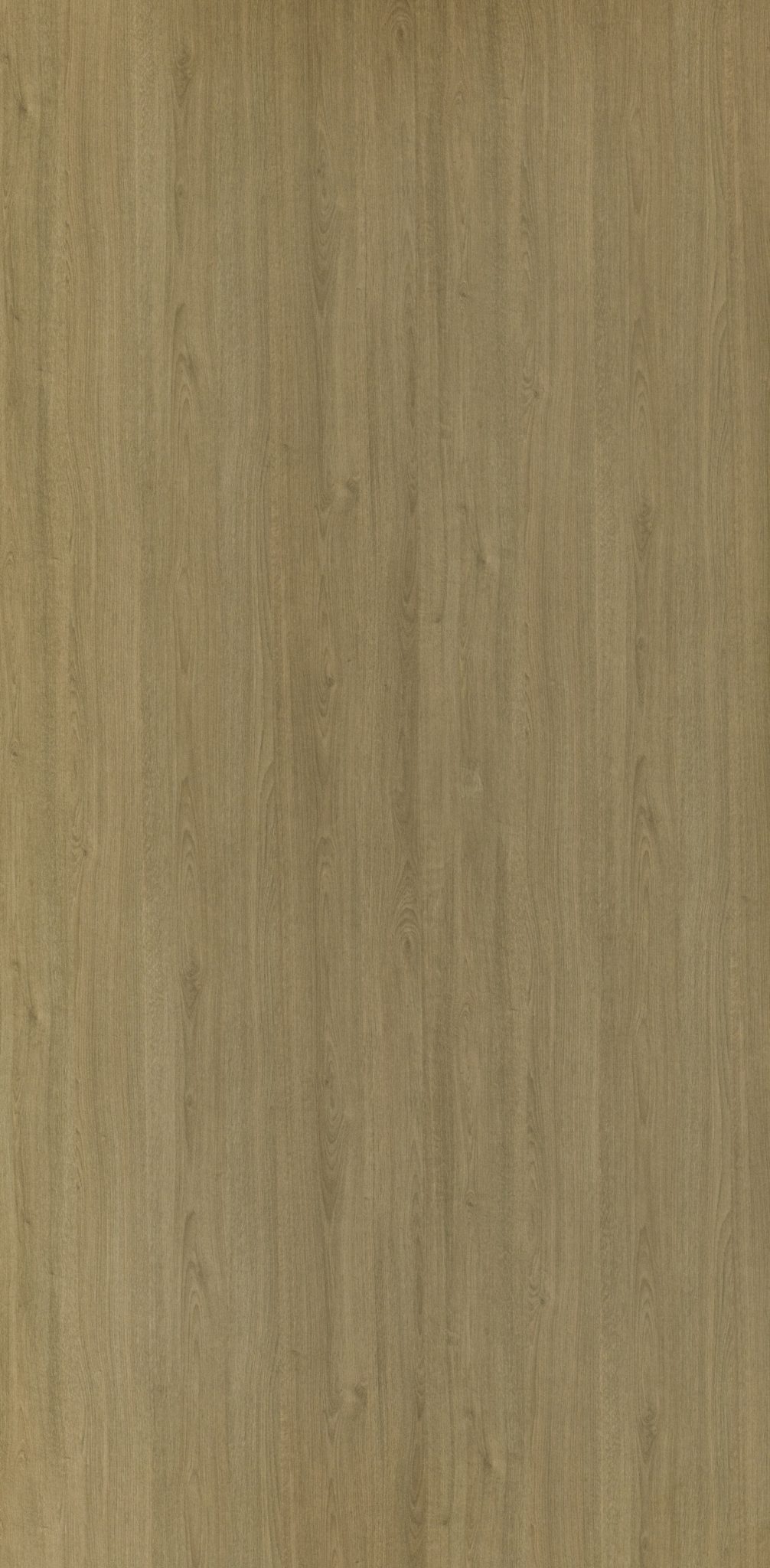 Laminate Formica 7392NT - Select Dry Oak - Gỗ Hiếu Hương