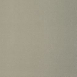 Laminate Formica D5306 Plex Argent