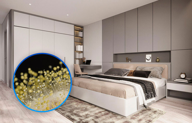 Gỗ mdf có bị mốc hay không? Làm sao để phòng tránh?