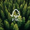Ảnh đại diện gỗ mdf đạt chứng chỉ FSC