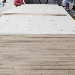 Hình ảnh sản phẩm gỗ dán thường BC