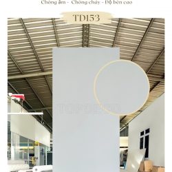 Tấm ốp tường than tre TD153